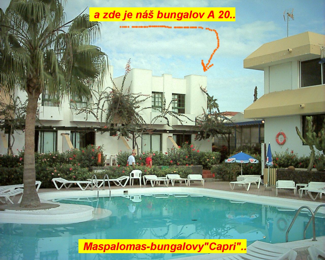 nv27_013.jpg