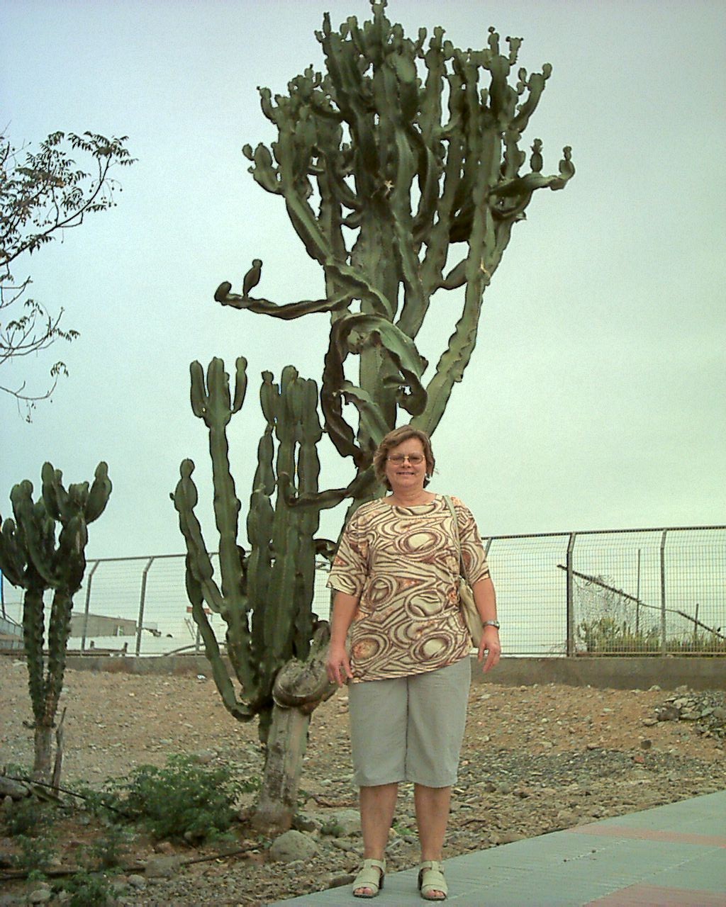 nv27_021.jpg
