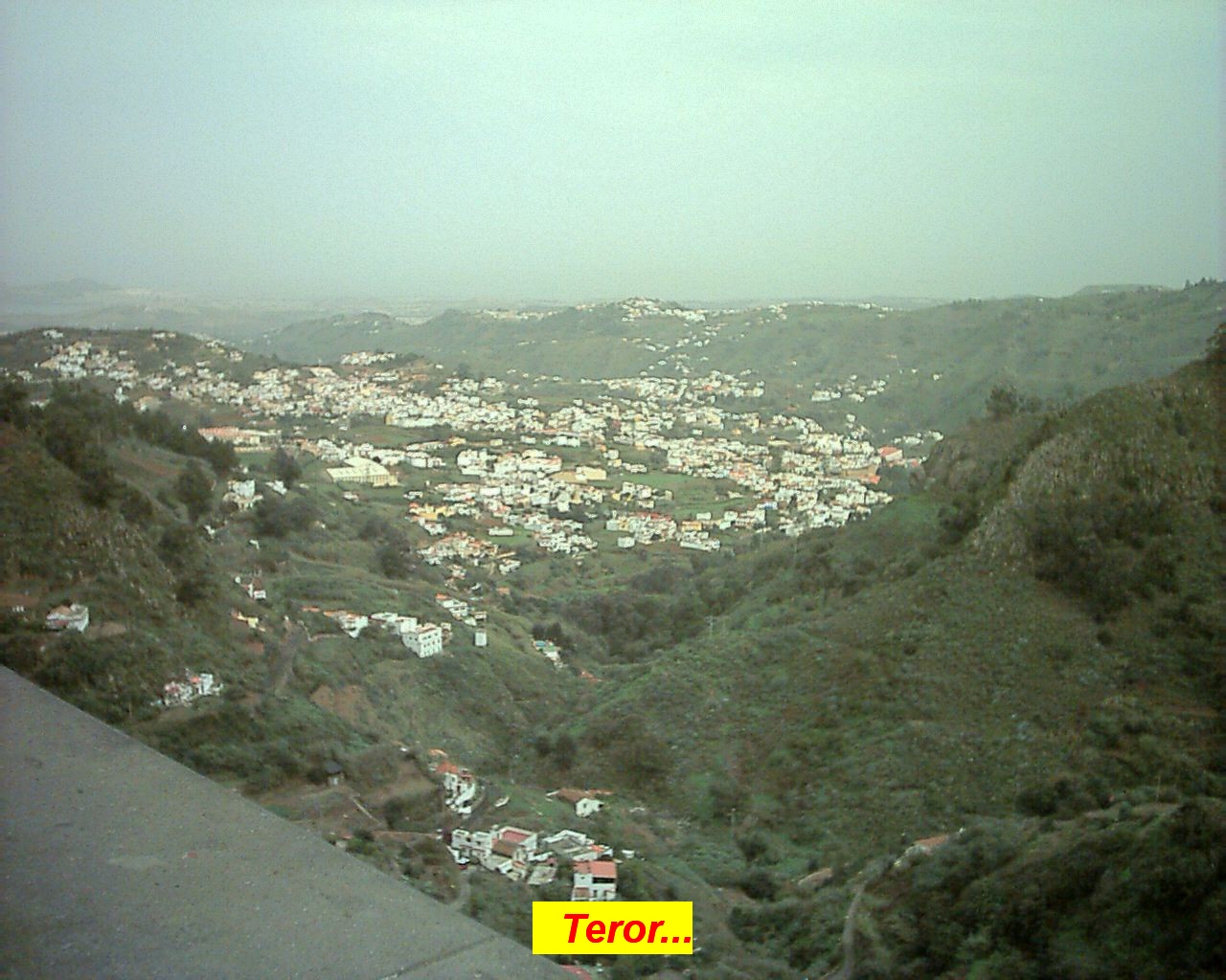 nv28_008.jpg