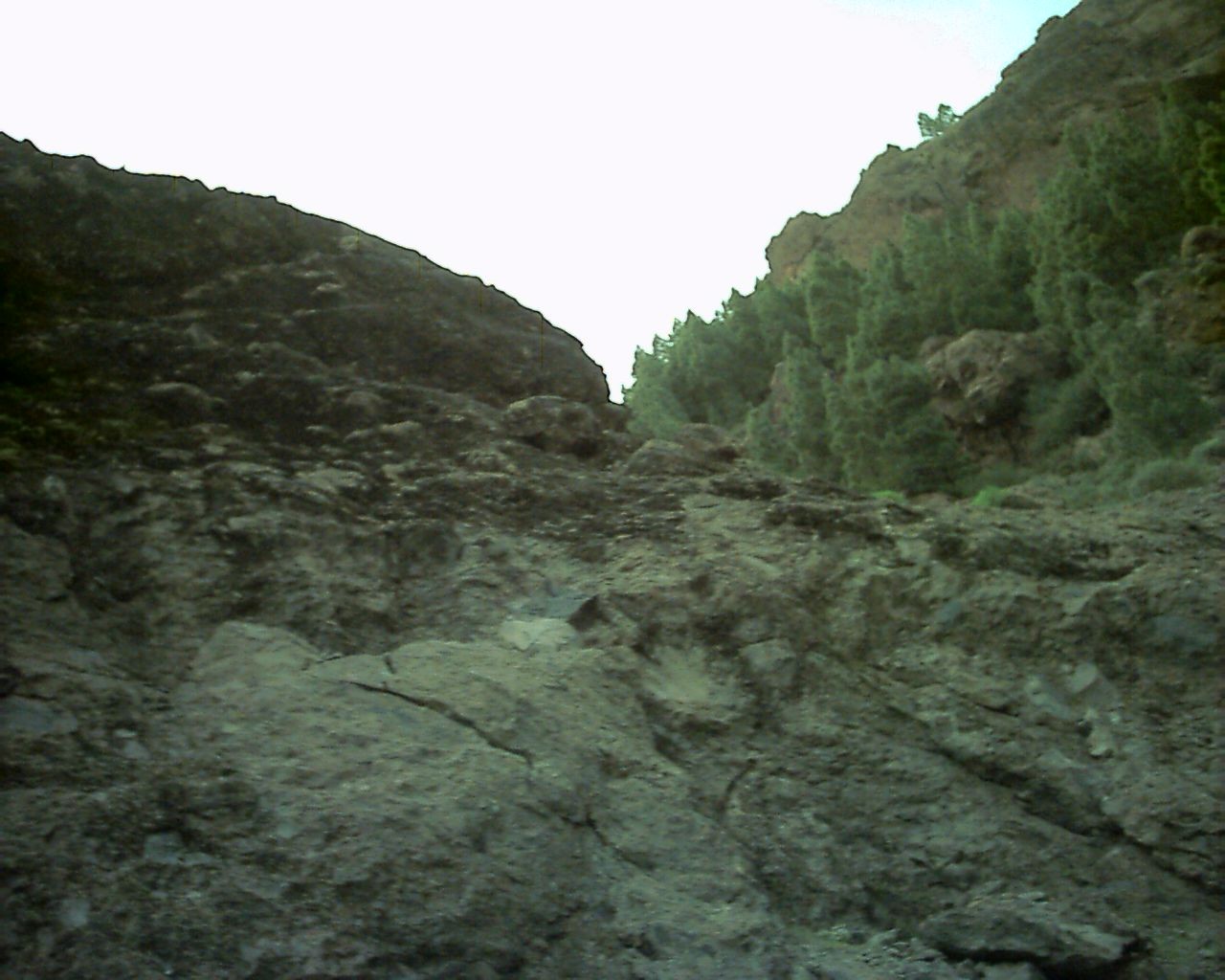nv28_013.jpg