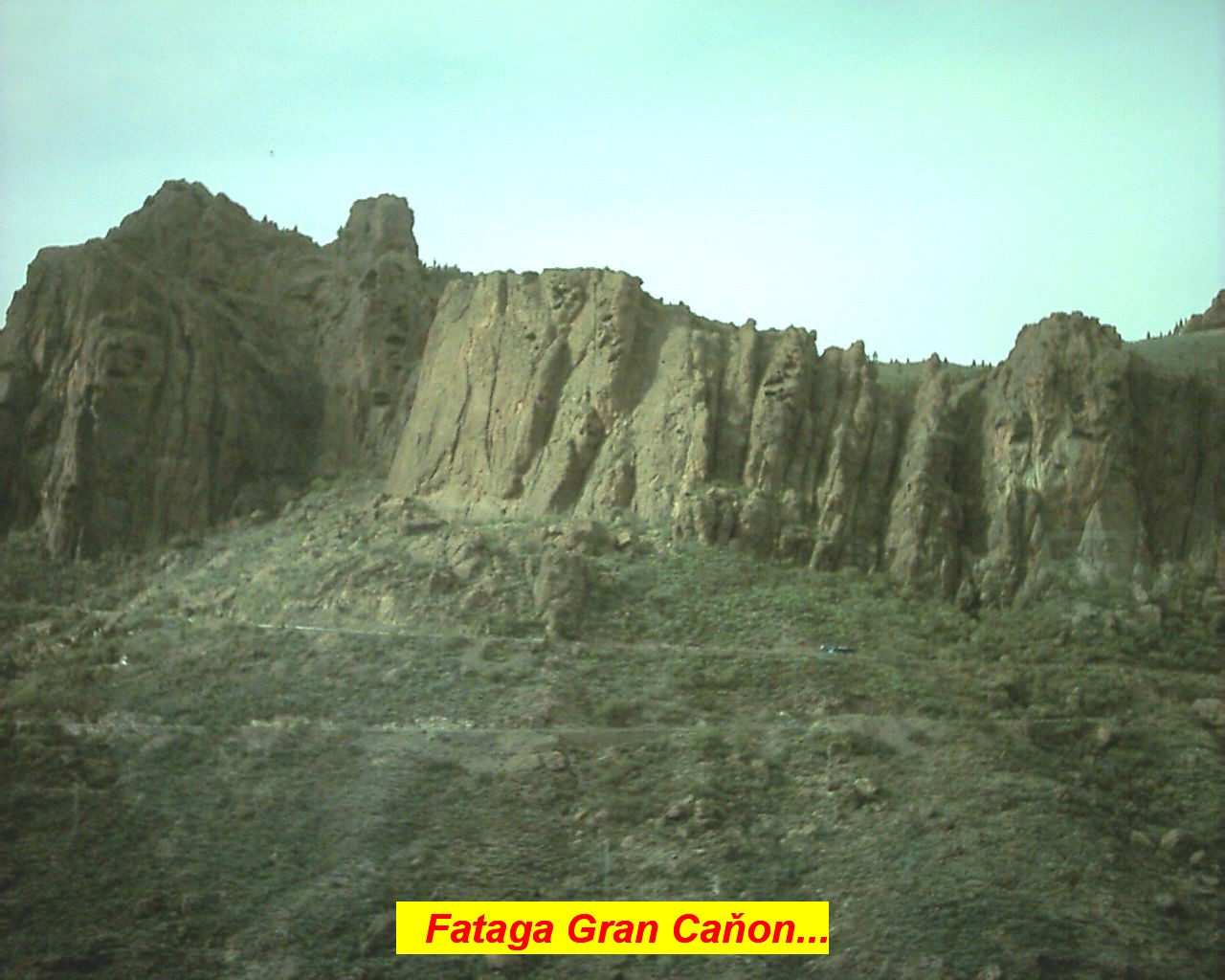 nv28_015.jpg