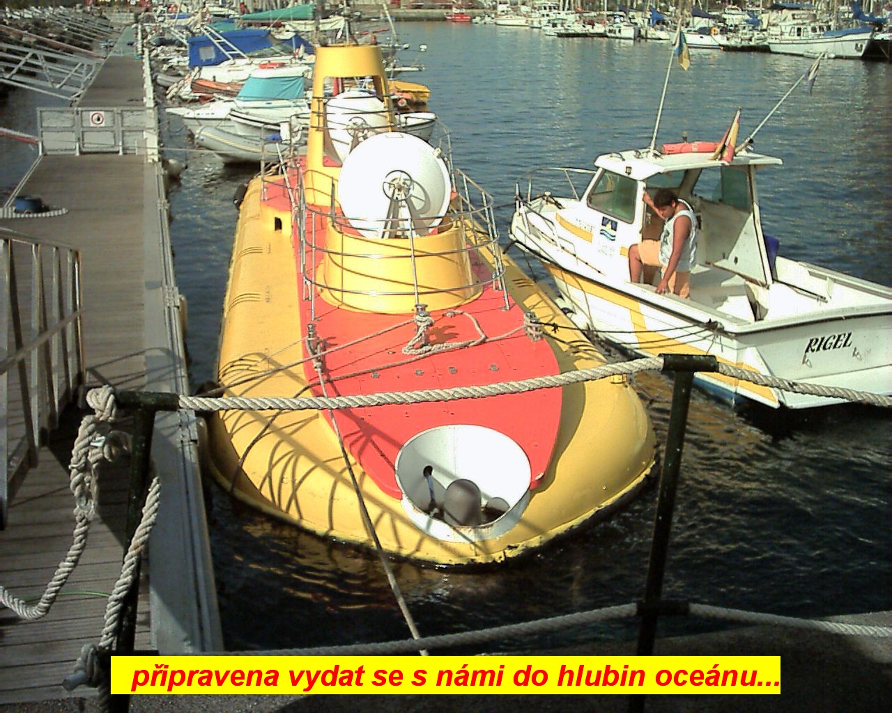nv28_023.jpg