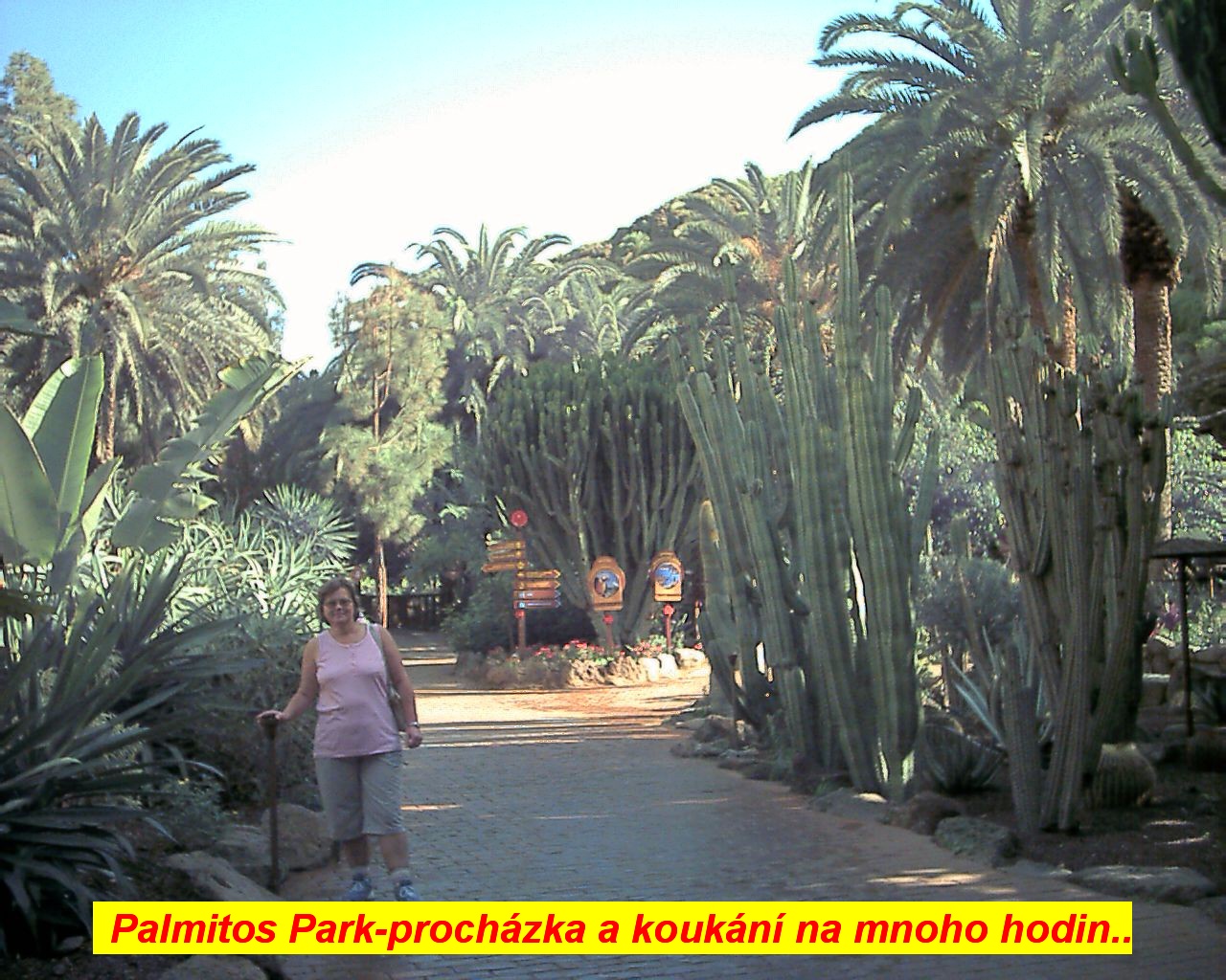 nv28_031.jpg