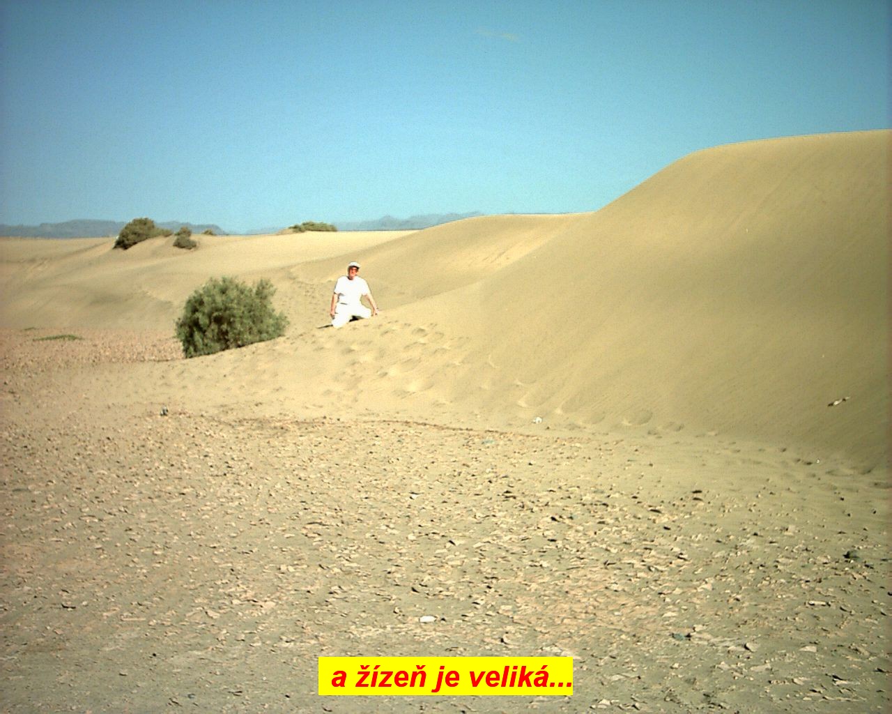 nv28_049.jpg