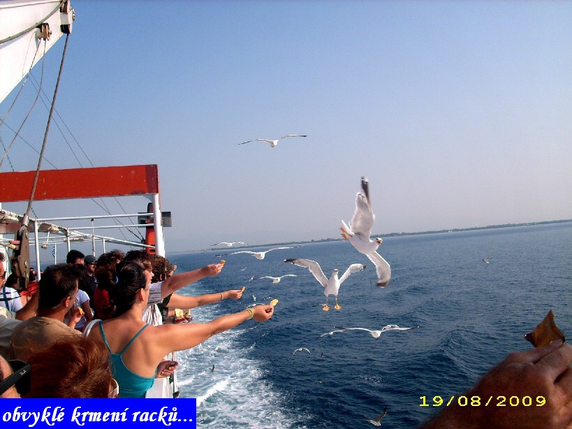 DSCI0014.jpg