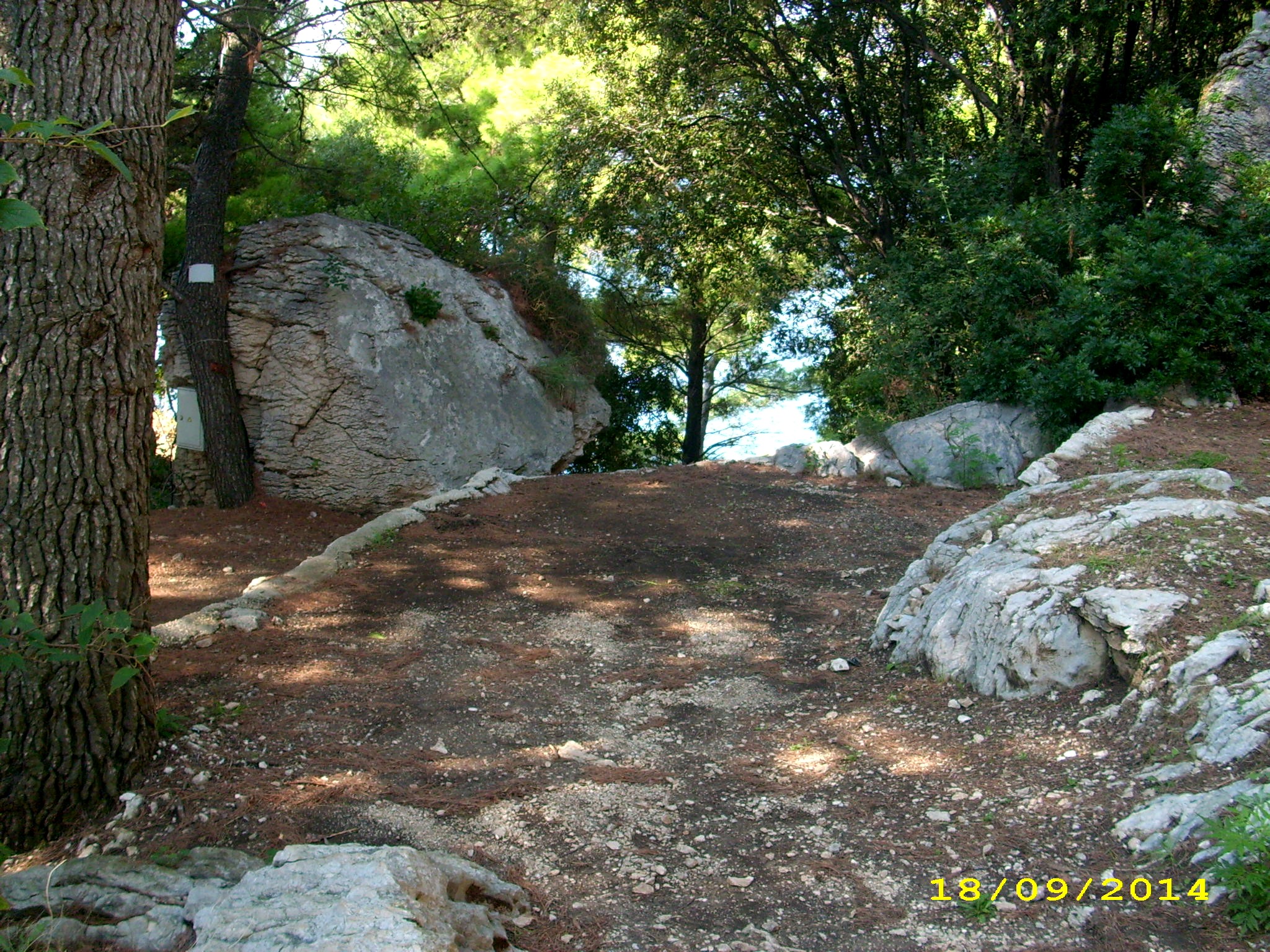 DSCI0384